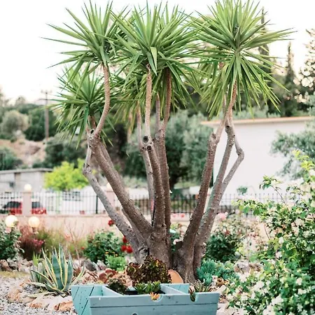 וילה Chara Gargen View ארכאנגלוס